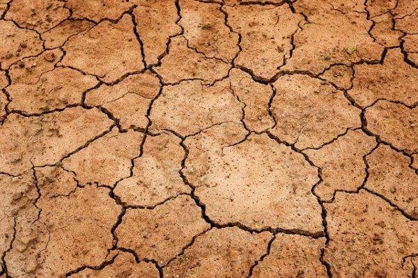 Aproape 430.000 de hectare de teren agricol din 34 de judeţe, afectate de secetă