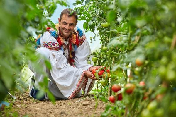 Revenirea turismului la cotele pre-pandemice sprijină activitatea micilor producători locali