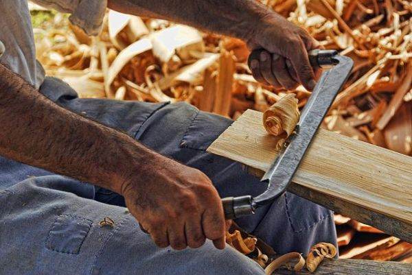 Sectorul forestier şi de prelucrare primară a lemnului are nevoie de finanţare şi deschidere pentru piaţa construcţiilor