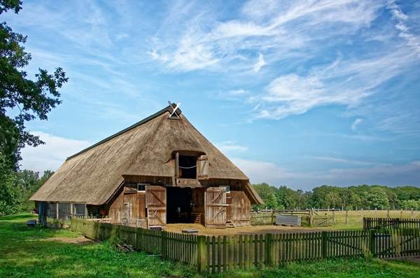 Ministerul Agriculturii alocă 7 milioane de euro pentru înfiinţarea stânelor montane