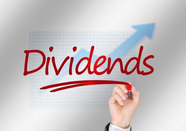 Practic Bucureşti va aloca dividende în sumă de 10,5 milioane lei