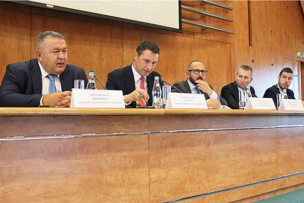 "Lemnul românesc n-ar trebui să părăsească ţara decât sub formă de produse de mobilier"