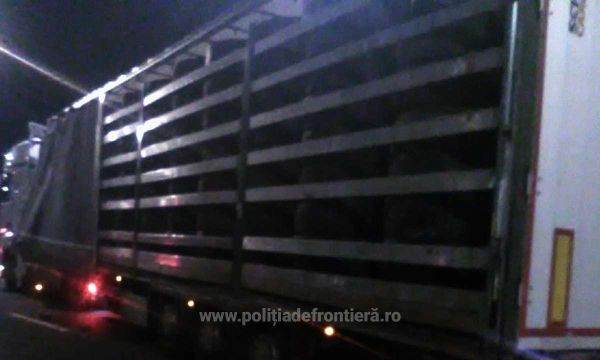Două mijloace de transport, încărcate cu peste 23 de tone de deşeuri, oprite la Borş II