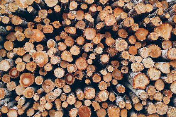 Evaluare de impact a măsurii de plafonare a preţurilor pentru lemn de foc