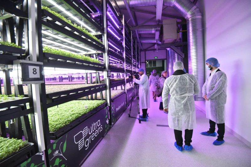 Kaufland şi Ultragreens inaugurează prima seră verticală din ţara noastră