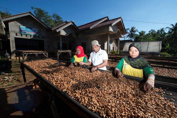 Mondelēz International extinde programul Cocoa Life cu o investiţie totală de 1 miliard USD până în 2030