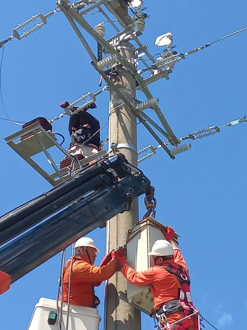 Peste 1.600 de echipamente telecomandate au fost montate în reţelele aeriene de medie tensiune