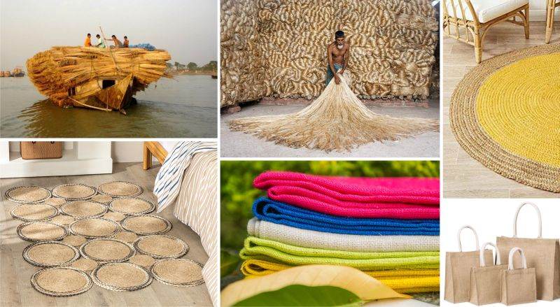 India este cea mai mare ţară producătoare de bunuri de iută la nivel Mondial: aproximativ 70% din producţia mondială