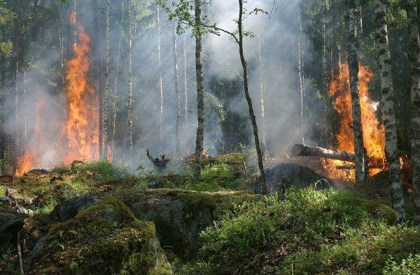Proiectul Silvanus a parcurs o nouă etapă în dezvoltarea platformei dedicate managementului incendiilor de pădure