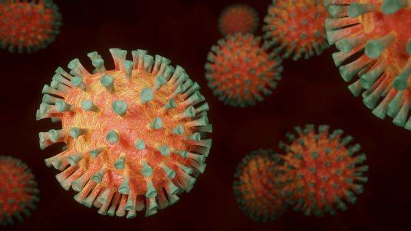 OMS afirmă că există semne ale răspândirii subvariantei XBB.1.5 de coronavirus în Europa