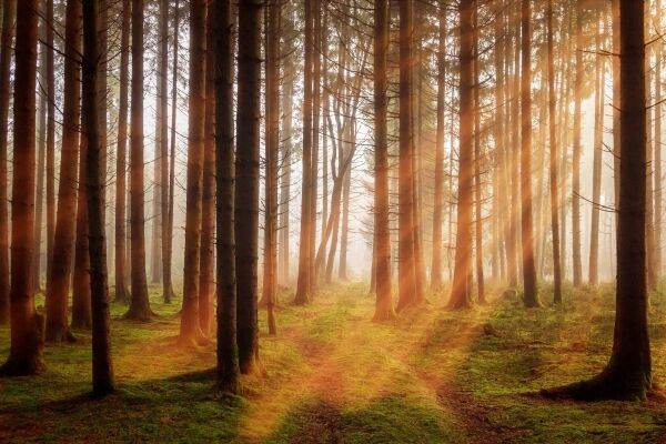 Ziua Mondială a Rezervaţiilor şi Parcurilor Naturale subliniază importanţa turismului sustenabil