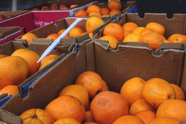 Fermierii spanioli vor suspendarea importurilor de fructe şi legume din Egipt şi Turcia în UE