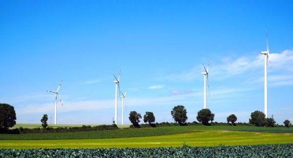 Investiţiile globale în energia verde, egale cu cele din industria combustibililor fosili