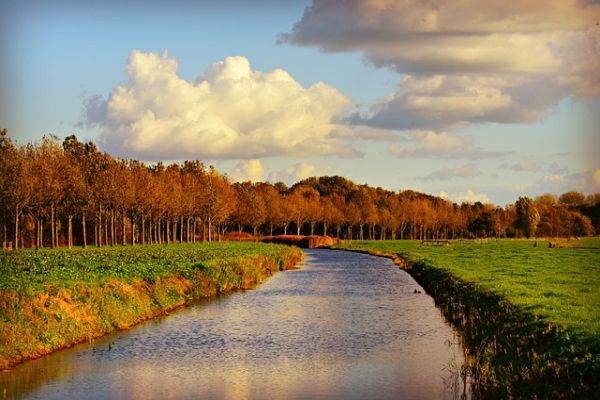 Guvernul ucrainean neagă implicarea în sabotarea conductelor Nord Stream 1 şi 2
