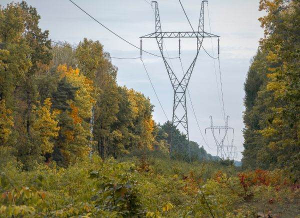 Delgaz Grid: Companiile de distribuţie din grupul E.ON vor amenaja 13.000 de km de coridoare verzi
