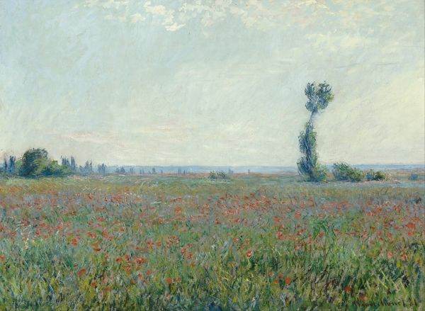Artistul şi activistul Ai Weiwei a recreat monumentalul triptic "" "Nuferi" al lui Monet din 650.000 de cărămizi Lego