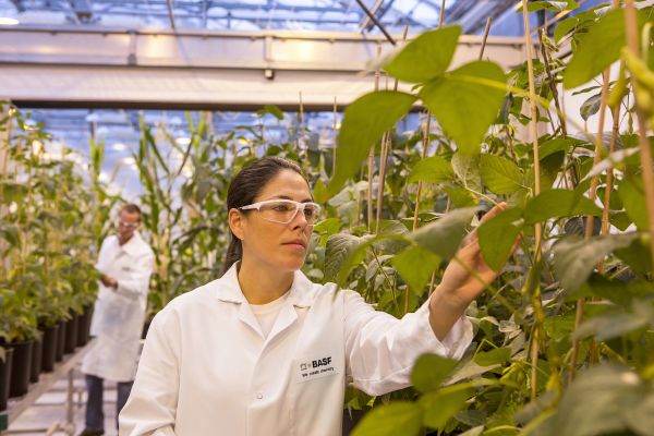 BASF propune soluţii integrate inovatoare pentru a susţine evoluţia agriculturii