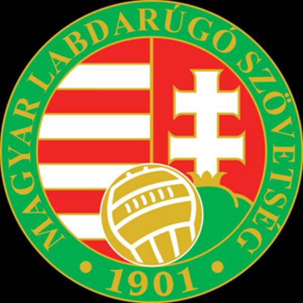 UEFA permite afişarea la meciuri de bannere reprezentând Ungaria istorică
