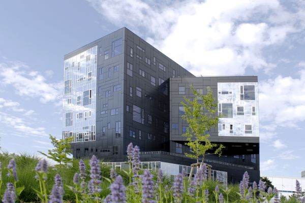 WU Executive Academy oferă burse de studiu în valoare de 200.000 de euro 