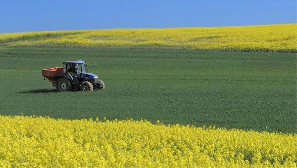 TradeVille: Ce stă în spatele Agricover Holding, care şi-a majorat veniturile cu 50% în 2022