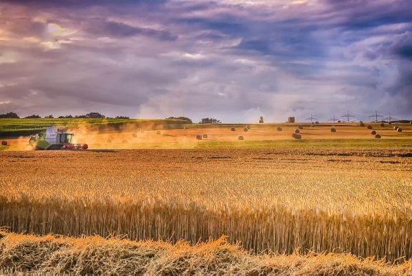 Guvernul ucrainean vrea să rezolve problema suspendării exporturilor de produse agricole în Polonia