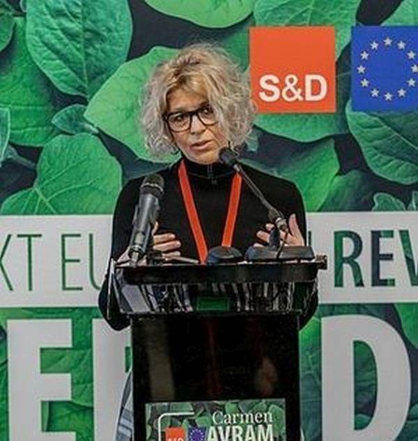 Carmen Avram: "Ministrul de interne austriac a venit la Bucureşti să se plimbe"