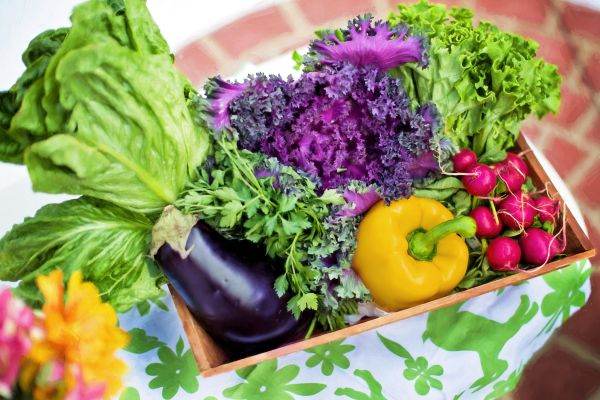 APIA a demarat autorizarea la plată a schemelor de sprijin cuplat în sectorul vegetal Campania 2022