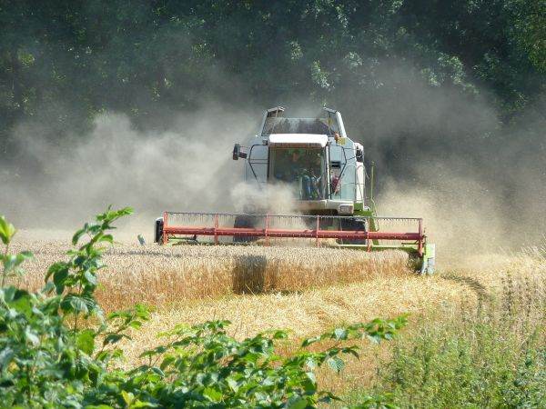 UE elimină treptat, până la 15 septembrie 2023, măsurile preventive excepţionale şi temporare adoptate la 2 mai 2023 cu privire la importurile de grâu, porumb, seminţe de rapiţă şi de floarea-soarelui din Ucraina în temeiul clauzei excepţionale de salvgardare prevăzute în Regulamentul privind măsurile comerciale autonome.