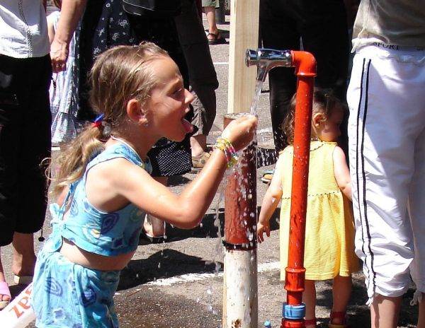 Zeci de mii de persoane au murit din cauza temperaturilor tot mai crescute