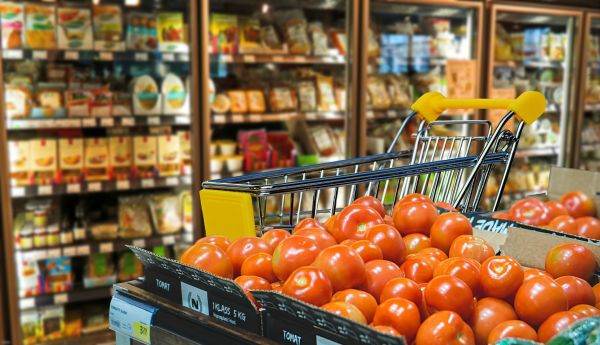 Prin plafonarea preţurilor, autorităţile îşi recunosc incompetenţa şi analfabetismul economic