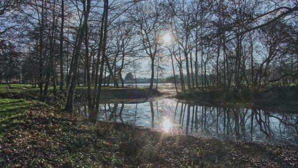Investitie de aproape 30 milioane de euro pentru amenajarea insulei lacul Morii