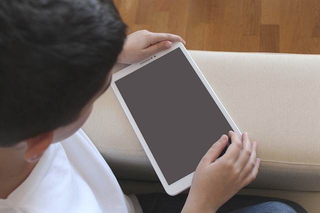 Poliţia Română: "Prin derularea acestei campanii ne propunem creşterea gradului de siguranţă online a copiilor"