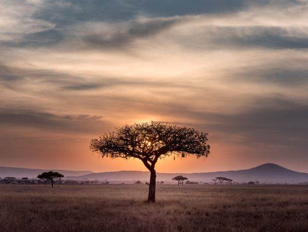 Africa de Sud: Peste 40 de state, interesate să se alăture BRICS