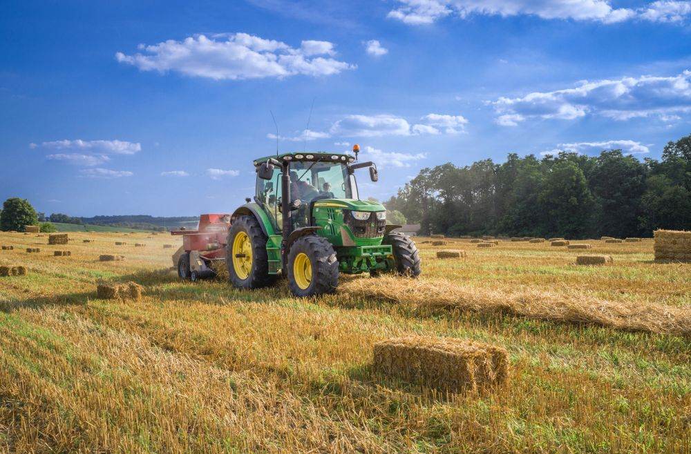  Florin Nicolae a fost numit Ministru al Agriculturii şi Dezvoltării Rurale