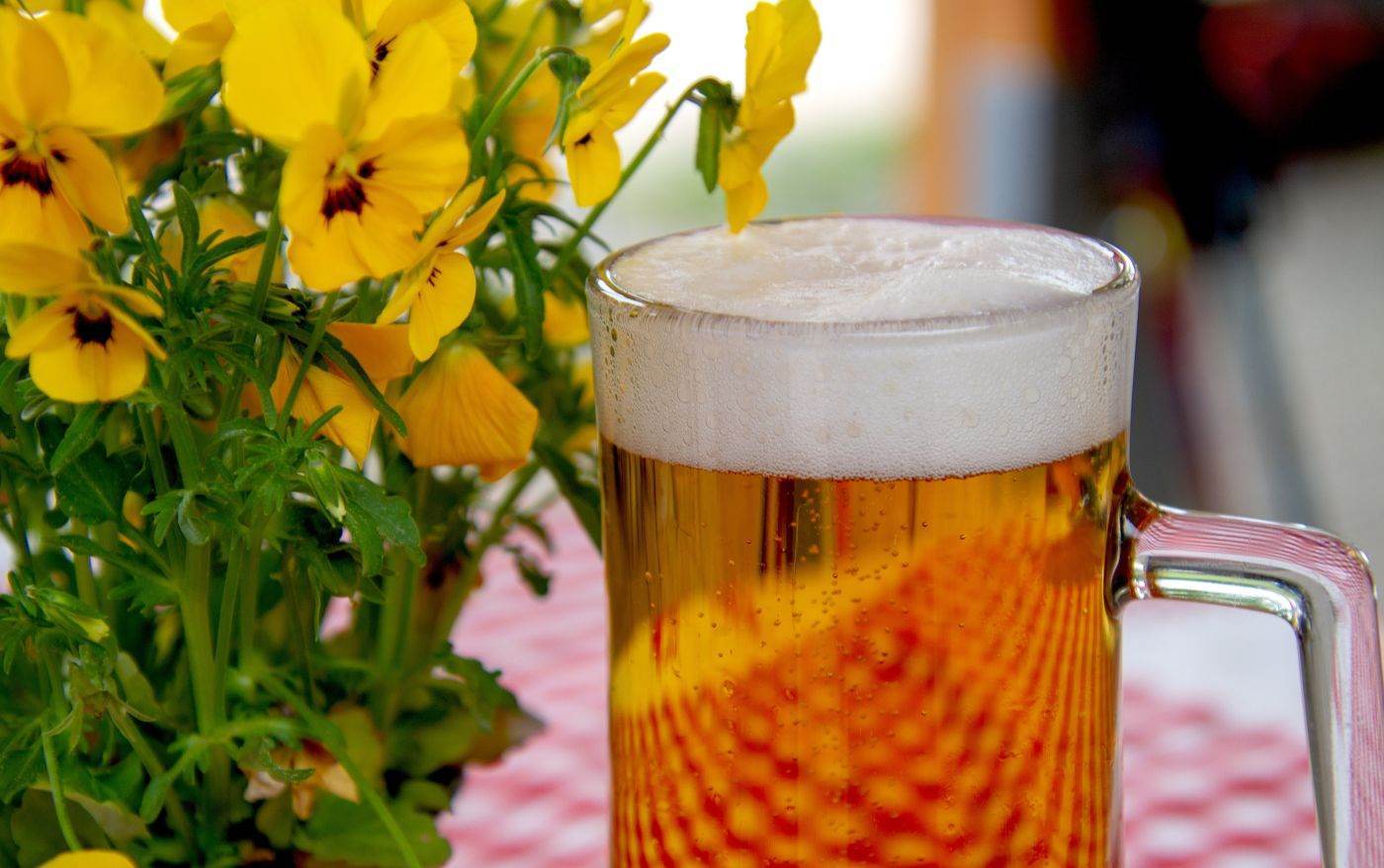 Vânzările de bere în Germania au revenit pe un trend descrescător după o scurtă relansare post-Covid