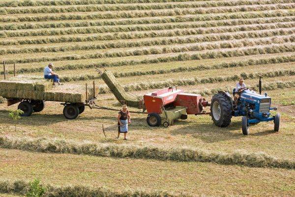Subsidy for fuel used by farmers in 2022