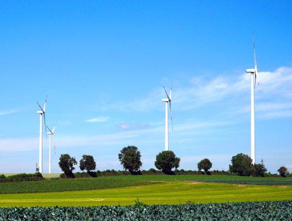 Raport Ember: Producţie record de energie verde în ţara noastră