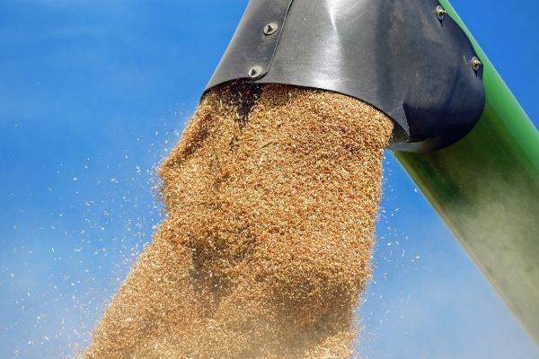 BTA: Eliminarea embargoului pentru importurile de cereale ucrainene va ieftini alimentele