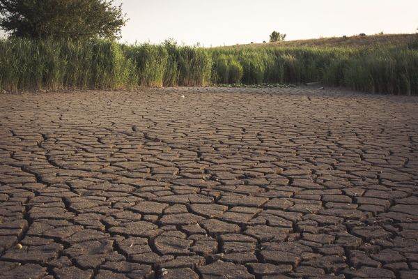 UN: The climate crisis represents a major barrier to combating hunger.