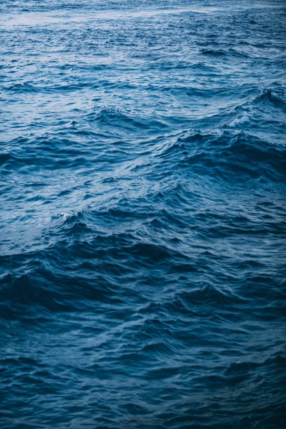 O dronă a fost găsită pe coasta bulgărească a Mării Negre