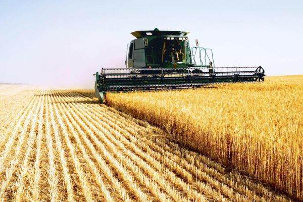 Sursa foto: facebook / Agroland Agribusiness