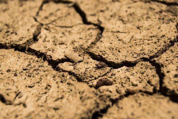 Brazilia a trimis un ajutor de urgenţă în statul Amazonas afectat de secetă