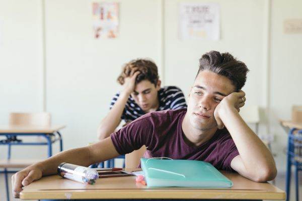 Educaţie: Domnul Goe, varianta modernă, bursă pentru media 2