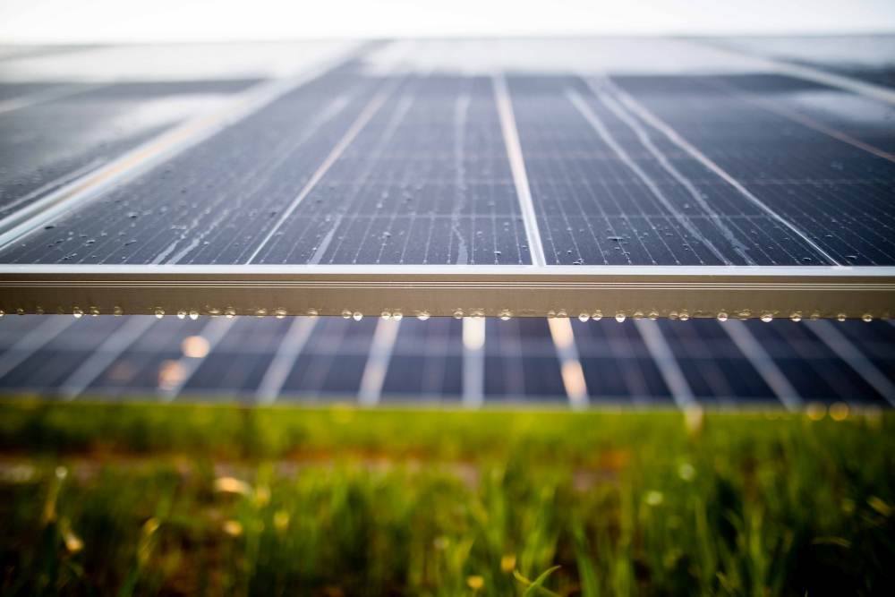 Green Genius obţine finanţare de 9, milioane de euro pentru dezvoltarea proiectului său din România 