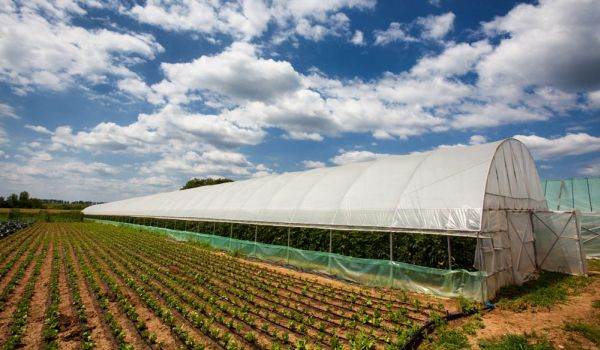 Romcarbon wants to develop new recycling activities 