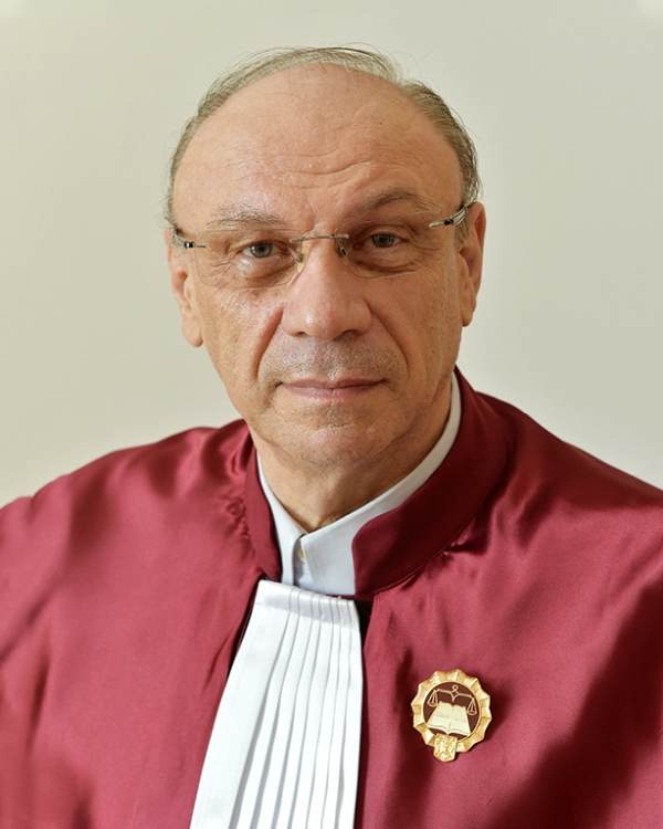 Enache CCR: "Ziua Naţională semnifică dreptul nostru la o patrie cât şi obligaţia de fidelitate faţă de ţară" 