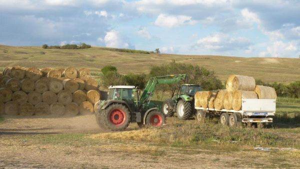 Sursa foto: facebook/DN Agrar