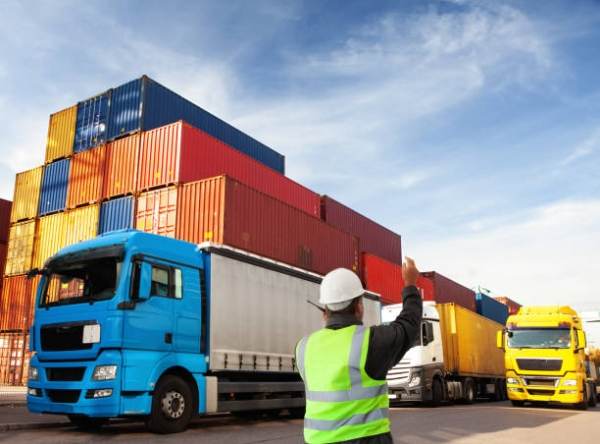 EY România: "Începutul anului 2024 aduce controale sporite la importurile de produse alimentare şi furaje în vămile din România"