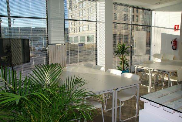 The perspective of significant relocations from other countries enhances the real estate potential of Romania