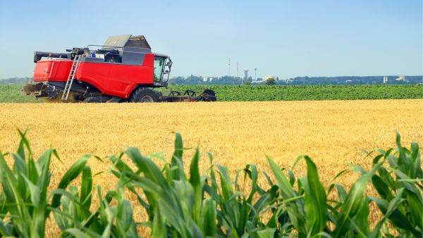 Tarfin încheie anul 2023 cu o creştere de 35% în Turcia şi Europa de Est şi vizează o creştere accelerată pe piaţa din România 